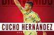 Кучо, photo RCD Mallorca
